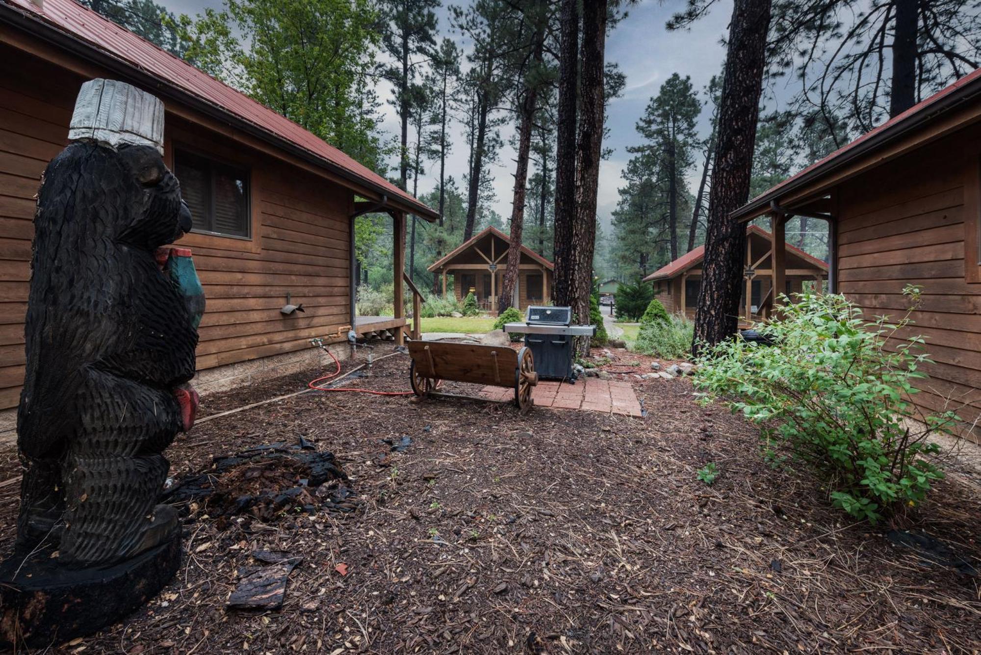 Shadow Mountain Lodge And Cabins ルイドソ エクステリア 写真
